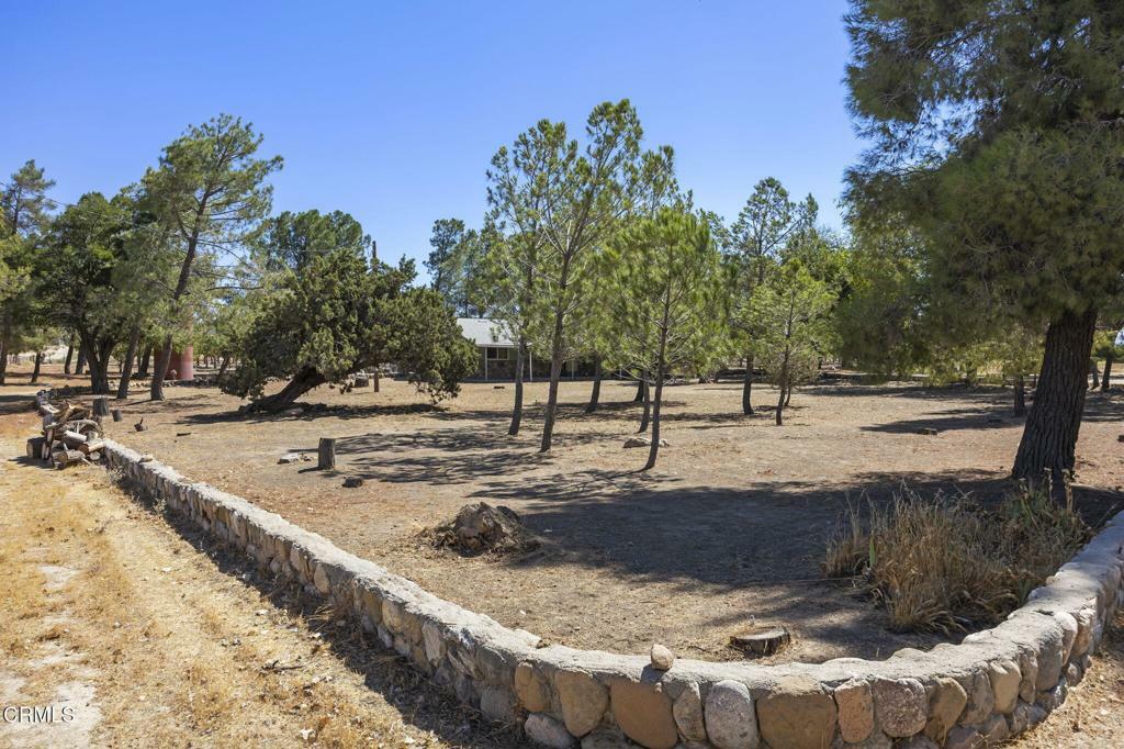 Property Photo:  115 Quatal Canyon Road  CA 93252 