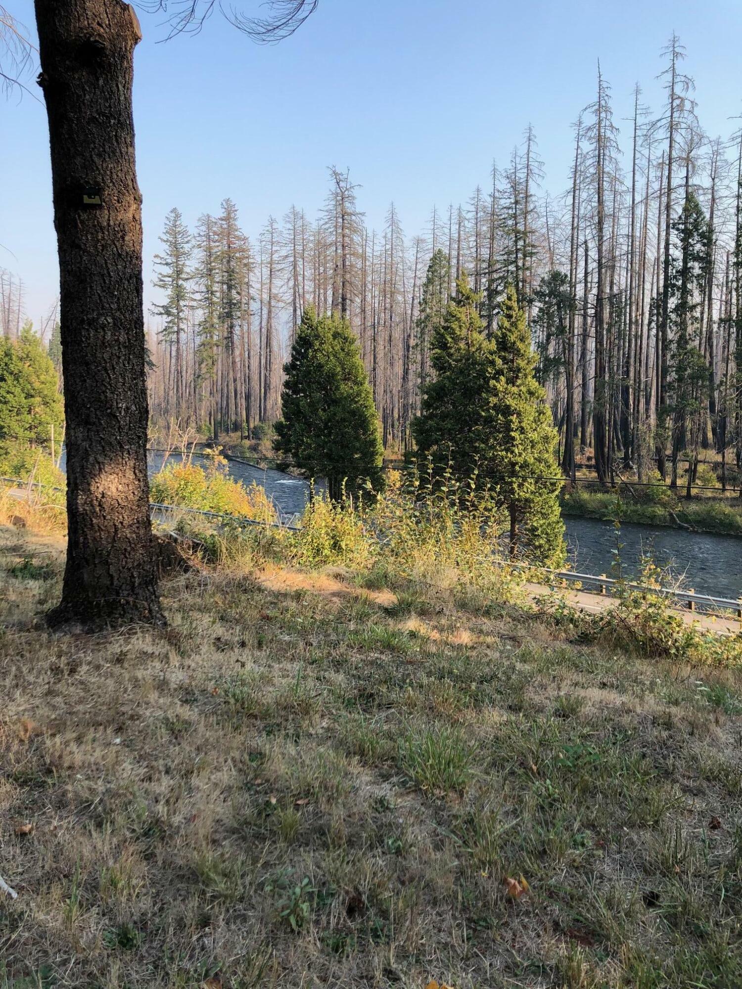 Property Photo:  91591 Blue River Reservoir Road  OR 97413 