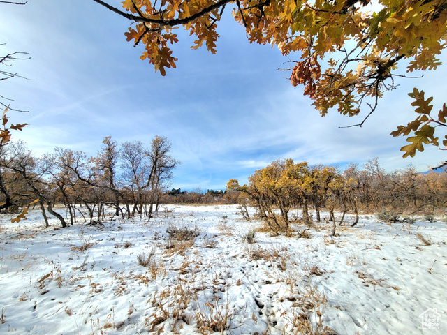 Property Photo:  425 S Woodland Hills (Lot#2) Dr 2  UT 84653 