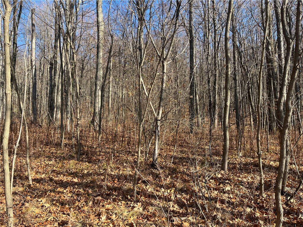 Property Photo:  Lot 16 Wicks Road  NY 14865 