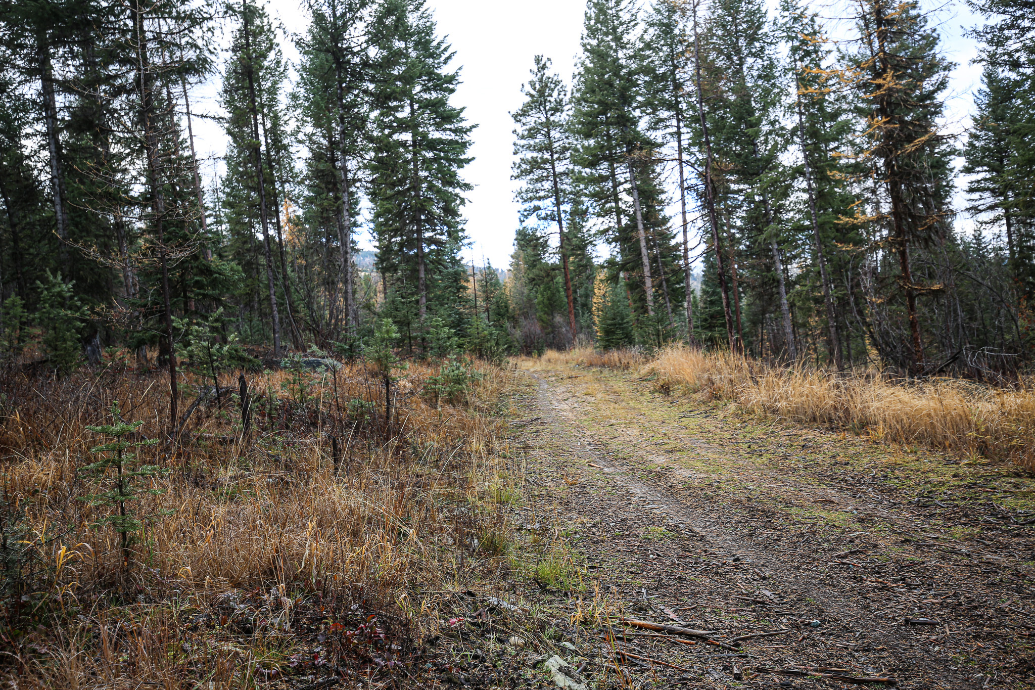 Property Photo:  Nhn Open Sky Way  MT 59920 