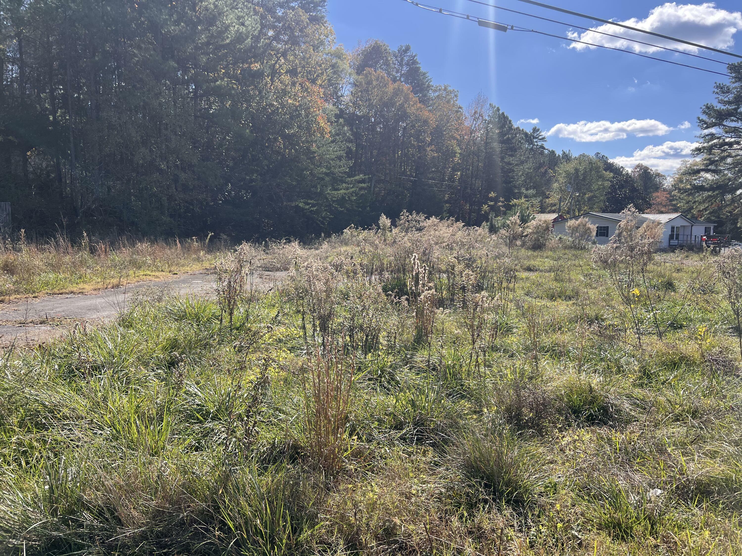 Property Photo:  49697 Alabama Highway  AL 35740 