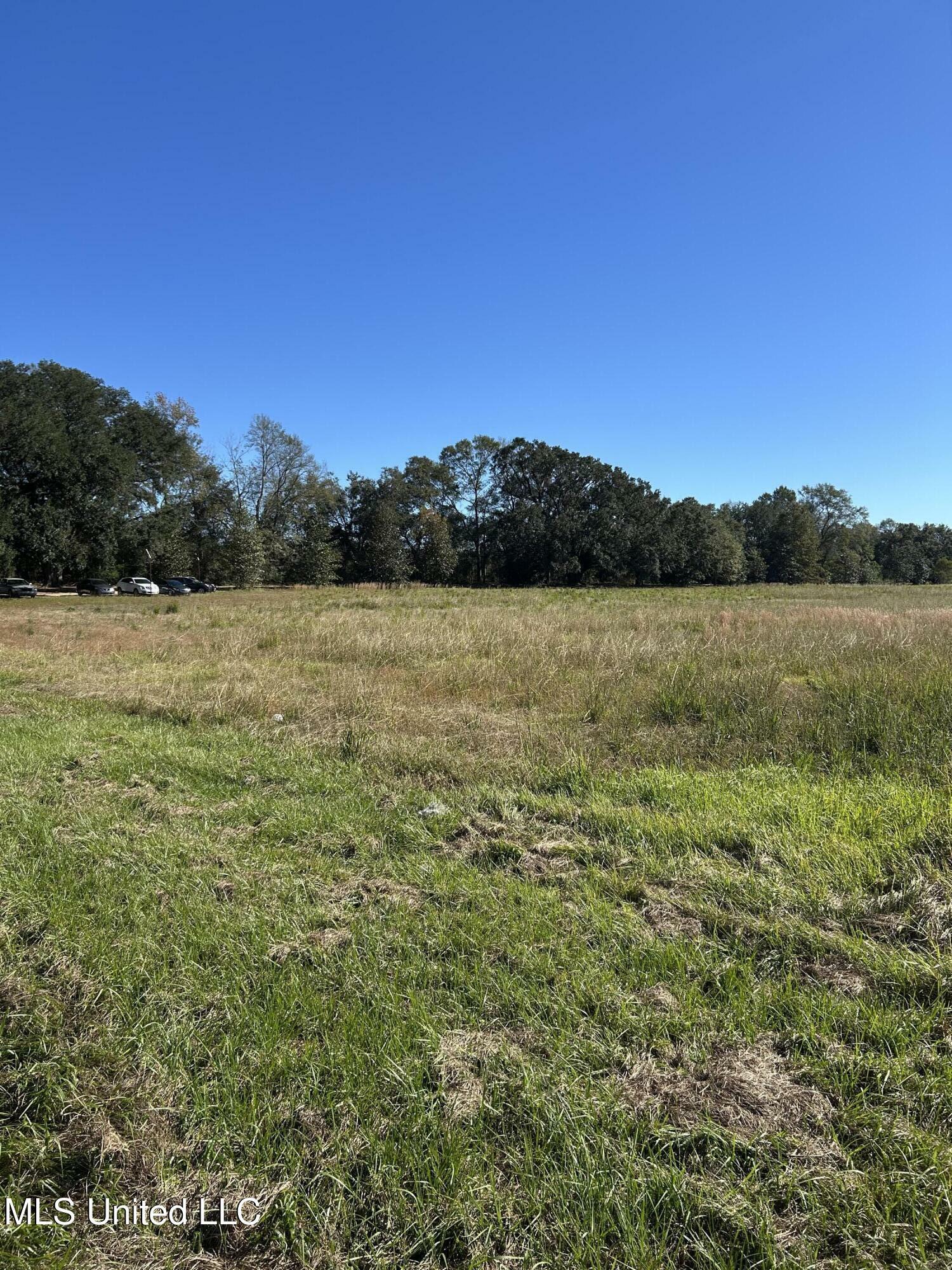 2.2 Acres Hwy 613  Lucedale MS 39452 photo