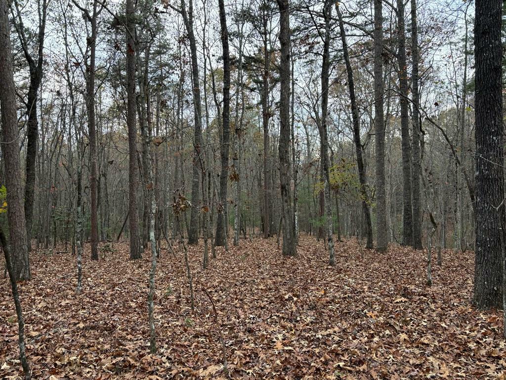 Property Photo:  3.5ac Liberty Hill Road  GA 30560 