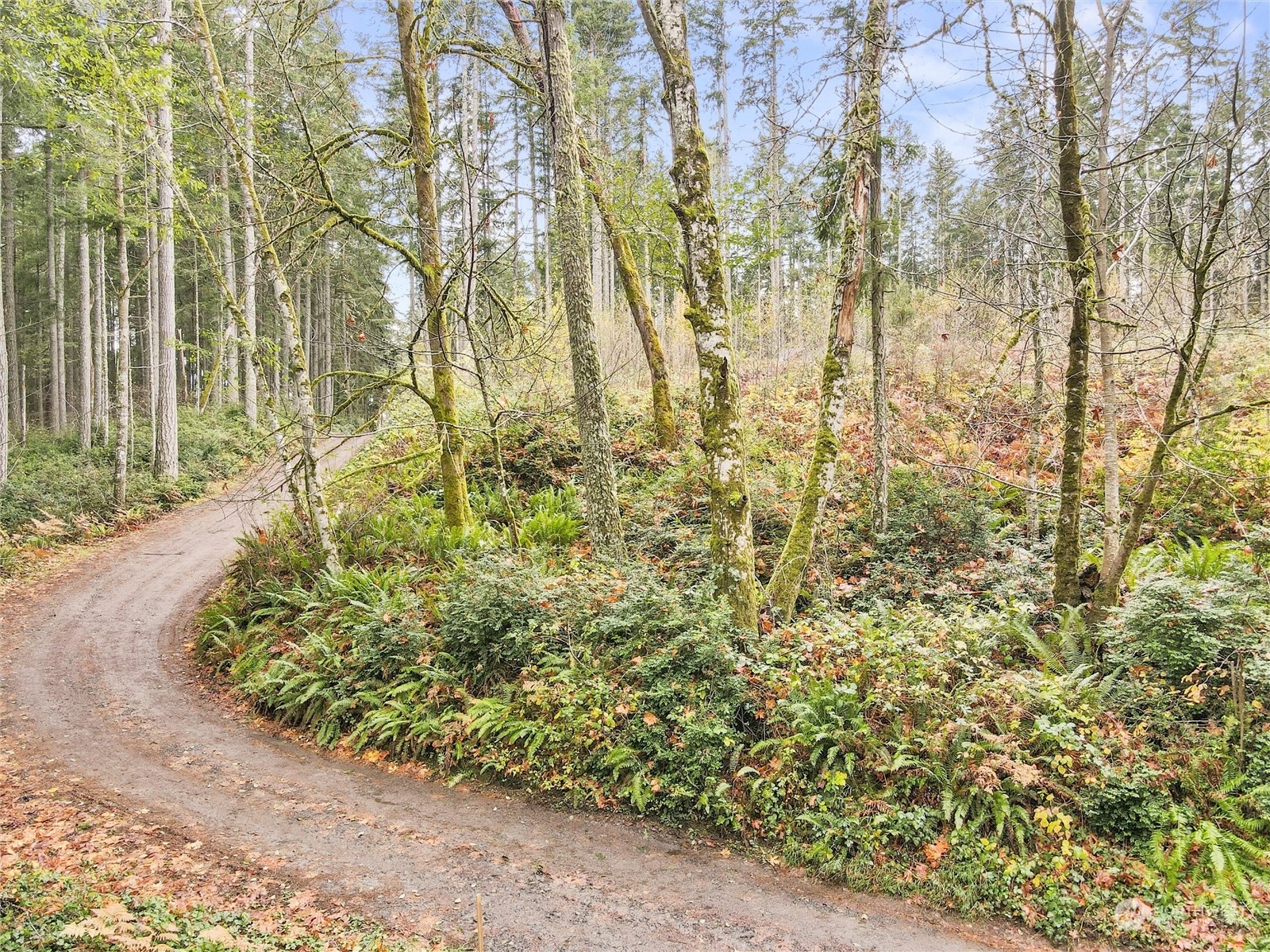 Property Photo:  0 Xx  64th Street Ct NW  WA 98394 