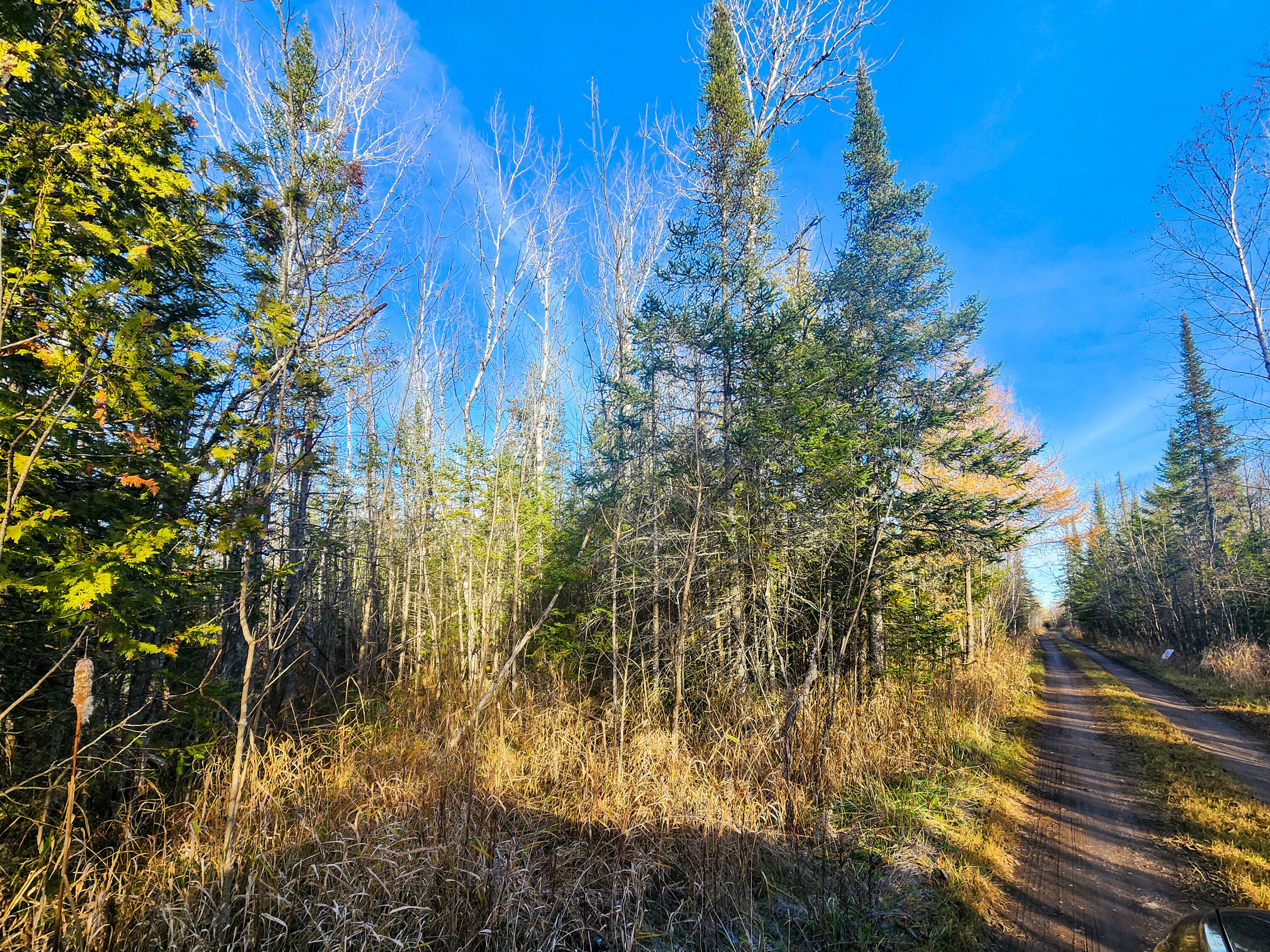 Property Photo:  000 Douglas Road  MI 49721 