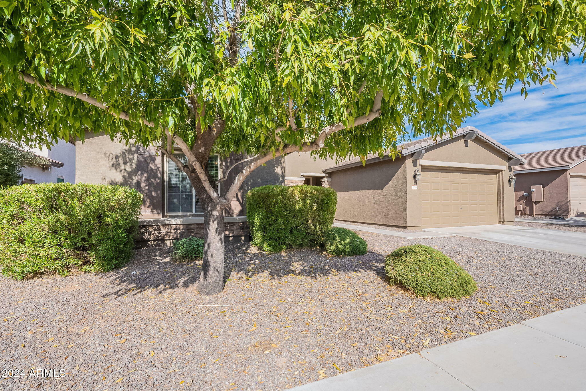 Property Photo:  1258 W Plane Tree Avenue  AZ 85140 