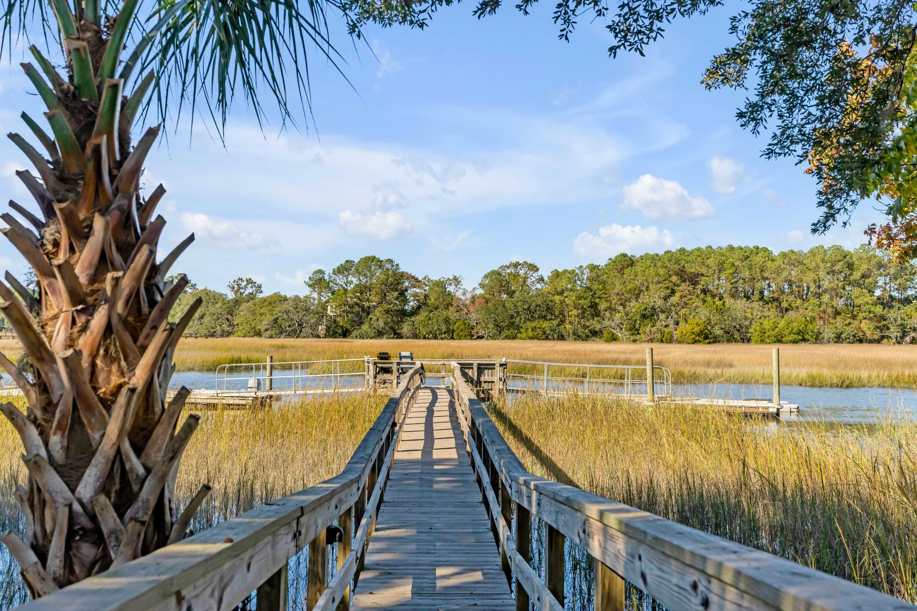 Property Photo:  178 Beresford Creek Street  SC 29492 