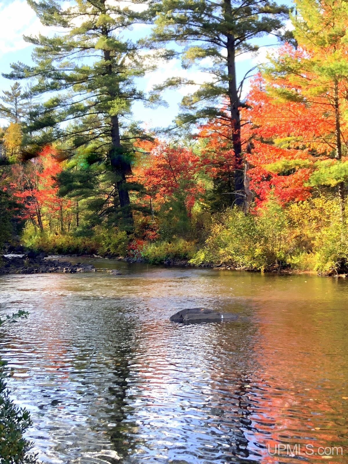 Property Photo: Tbd N Cataract Drive MI 49841