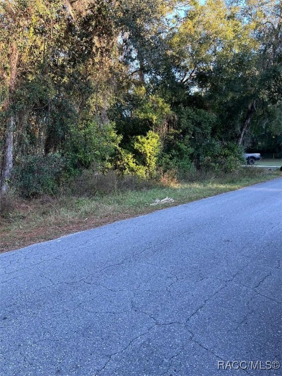 Property Photo:  155 N Rooks Avenue  FL 34453 