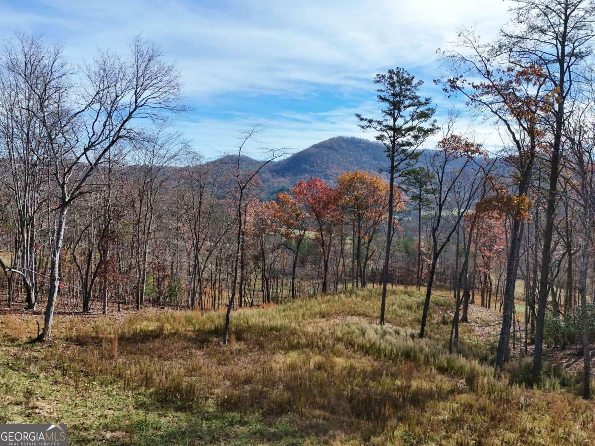 Property Photo:  902 Deitz Cable Road  NC 28909 