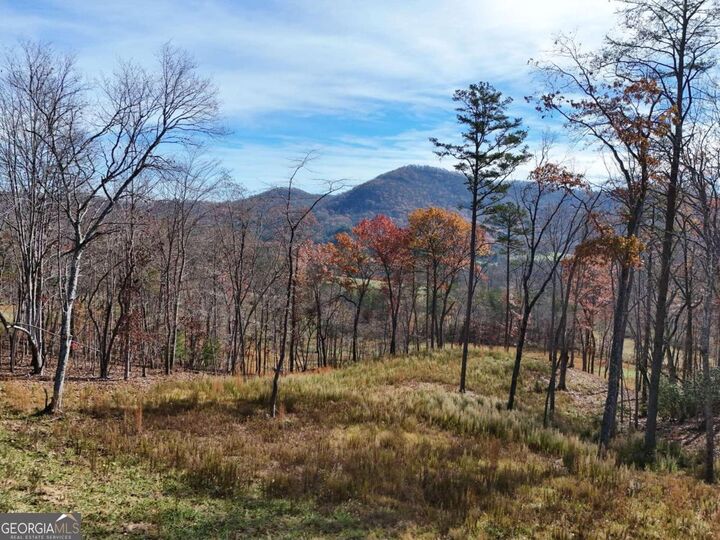 902 Deitz Cable Road  Warne NC 28909 photo