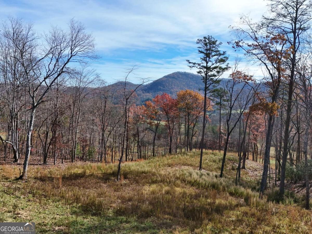 Property Photo:  902 Deitz Cable Road  NC 28909