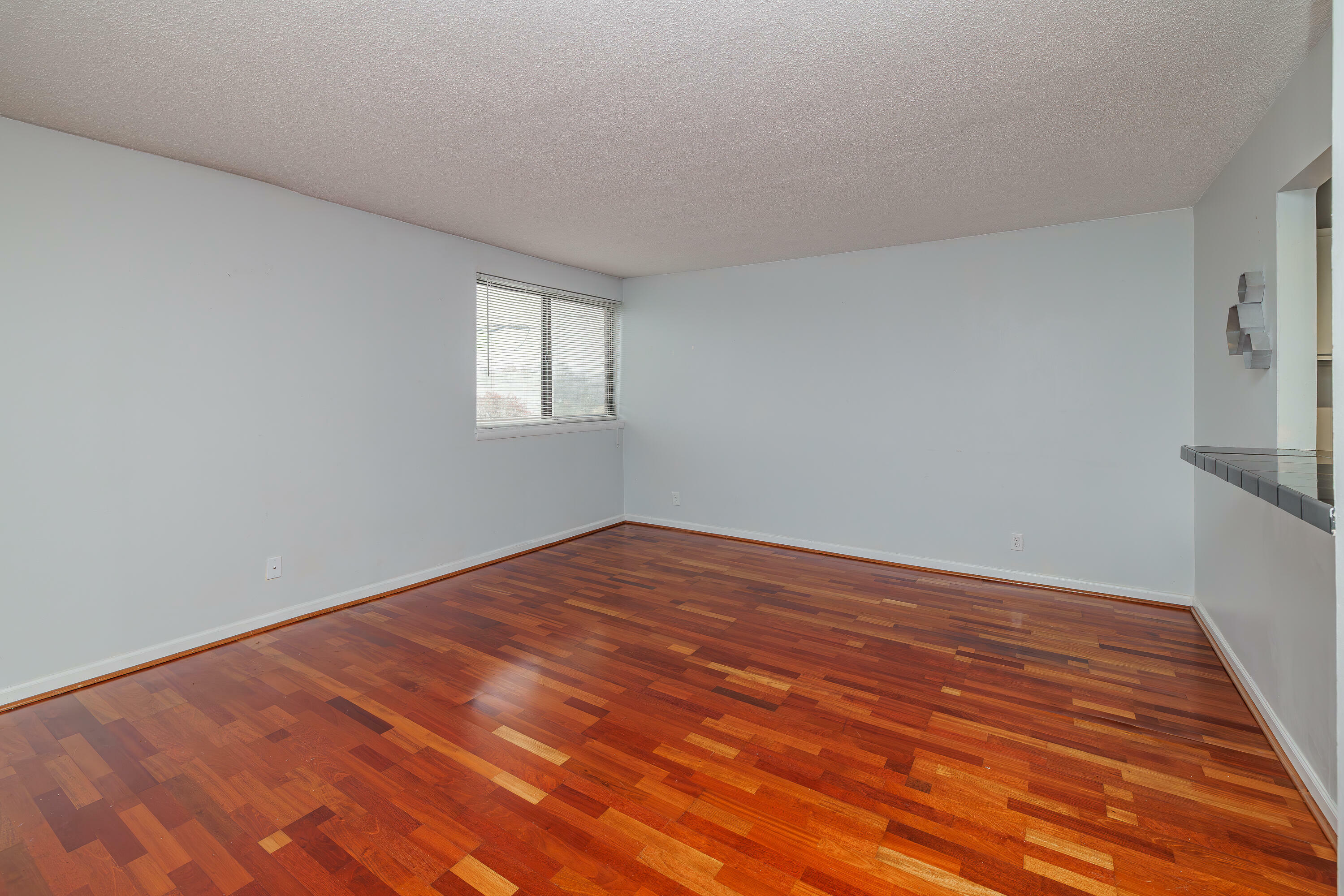 Property Photo:  342 Waller Avenue 5E  KY 40504 