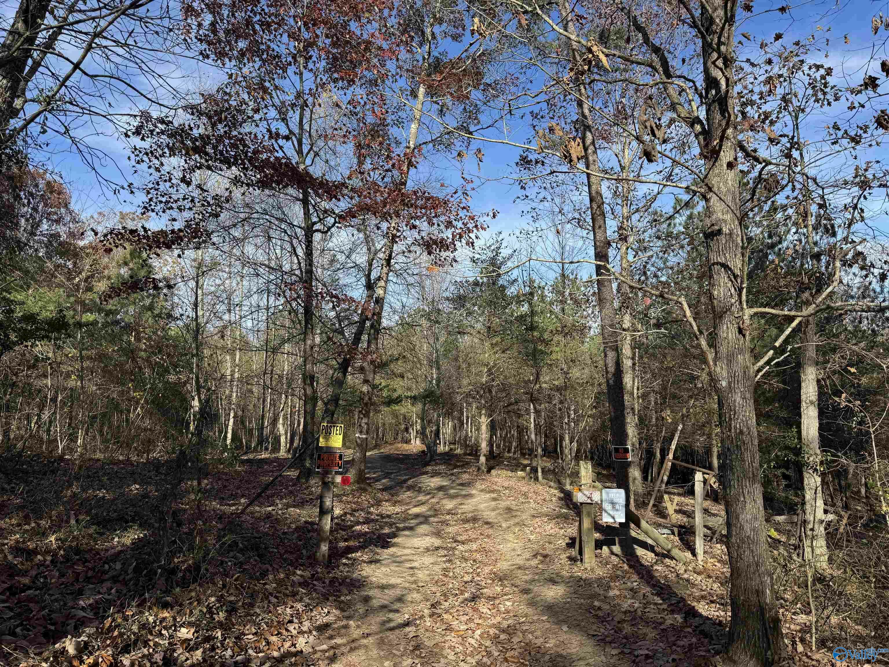 8.02 Acres County Road 361  Pisgah AL 35765 photo