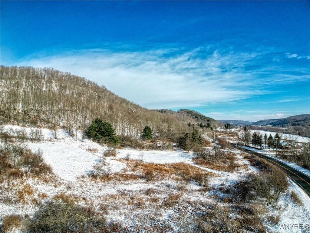 Property Photo:  6096 Nys Rte 242 Lot #1  NY 14731 