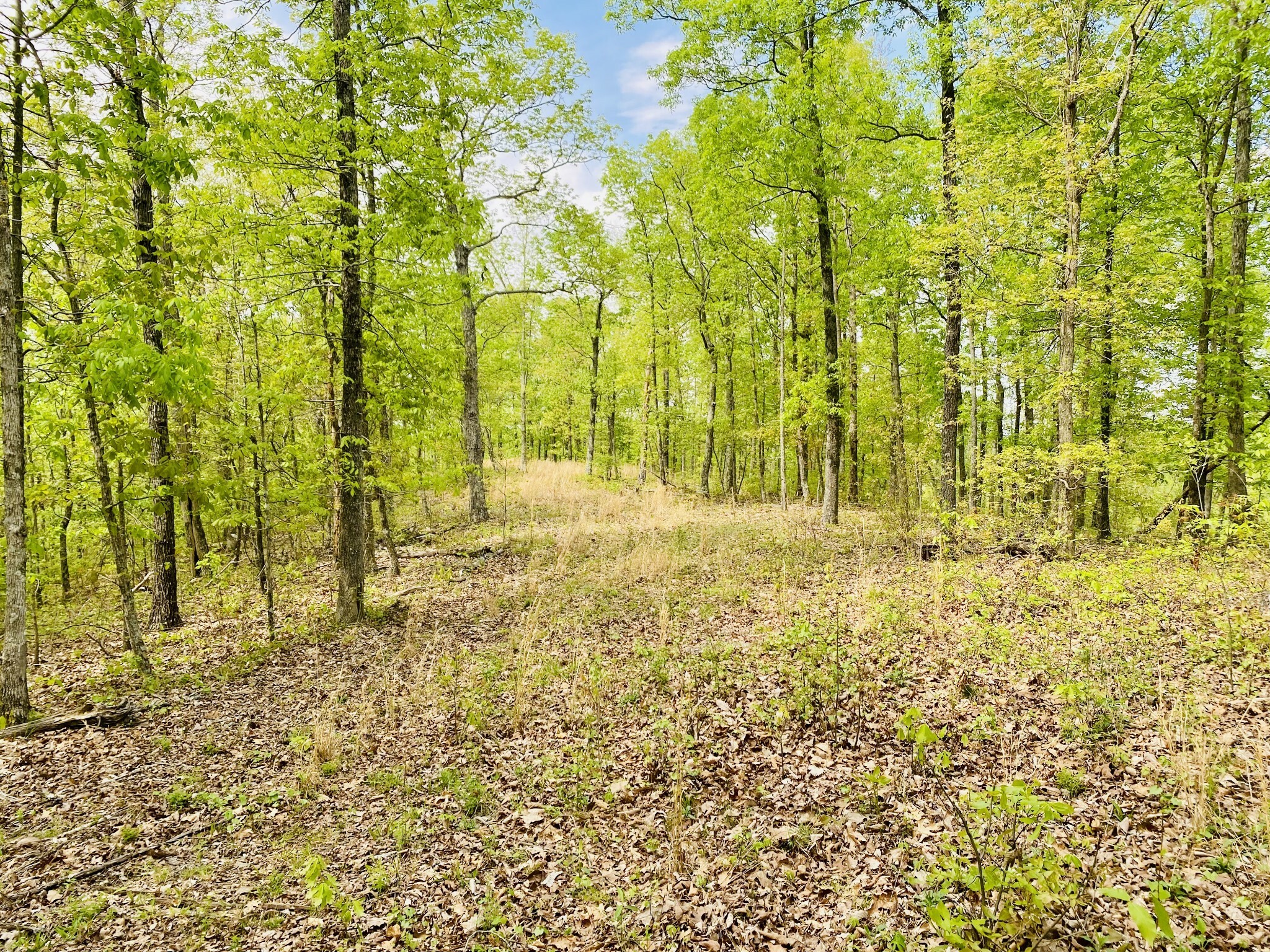 Property Photo:  47 Ridge Top Road  TN 37175 