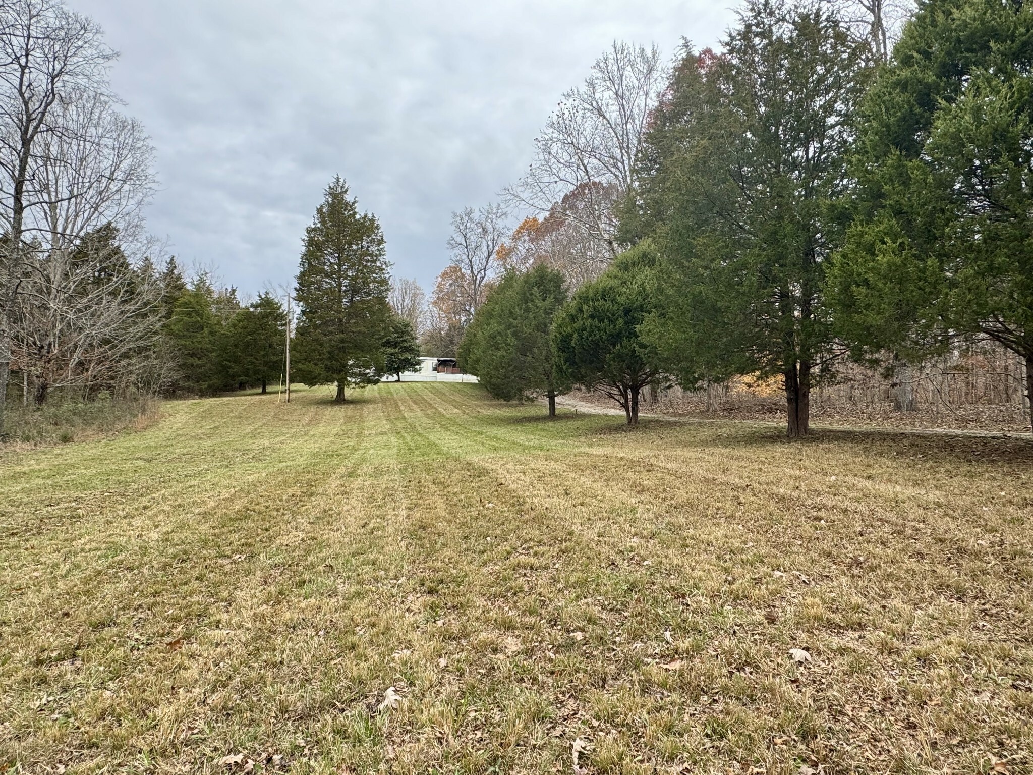 Property Photo:  1411 Stoney Point Rd  TN 37181 