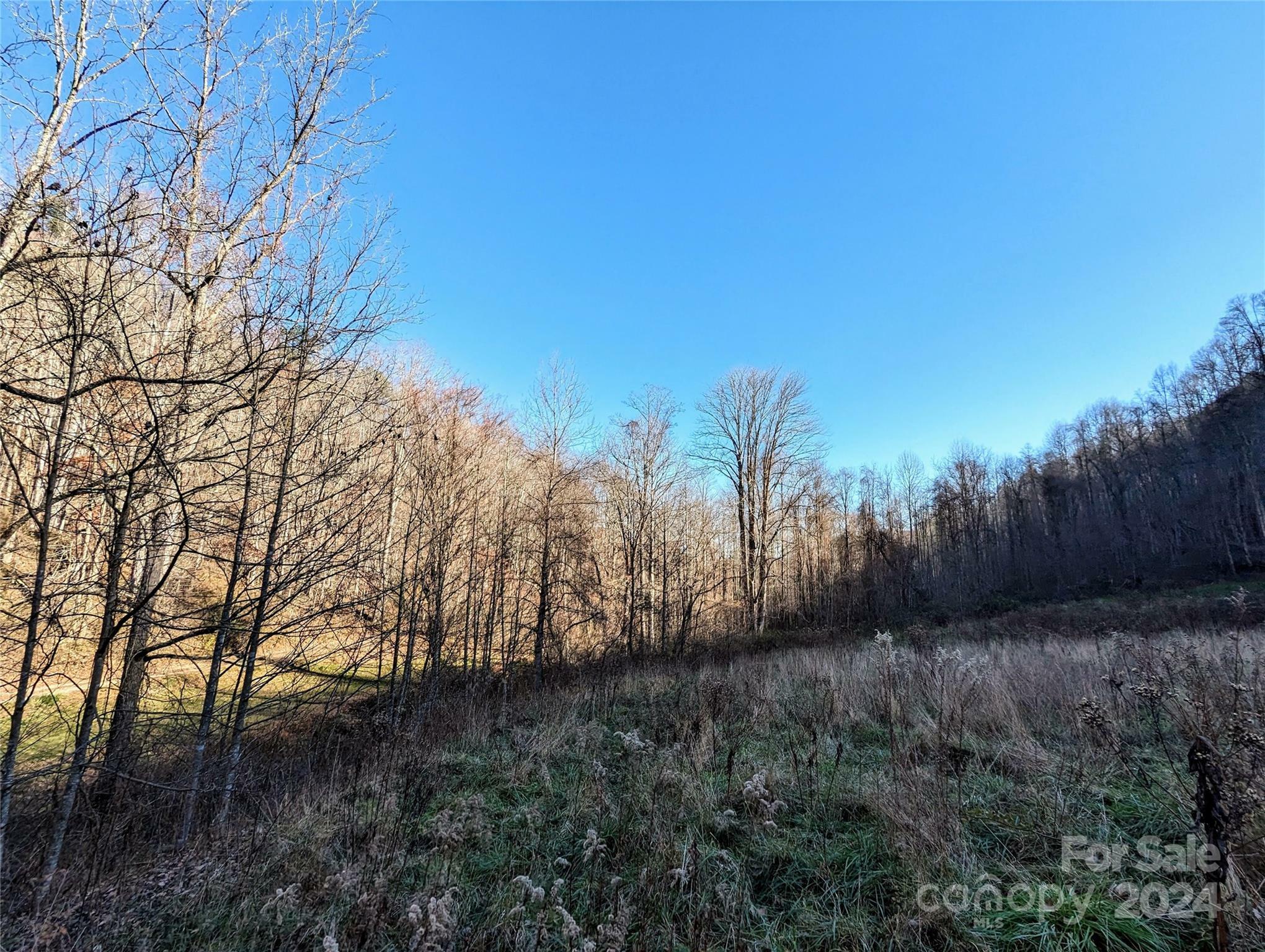 Property Photo:  99999 Upper Paw Paw Road  NC 28753 