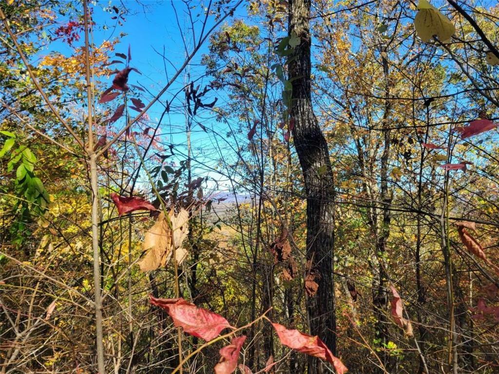 Property Photo:  14 Ac Old Burnt Mountain  GA 30540 