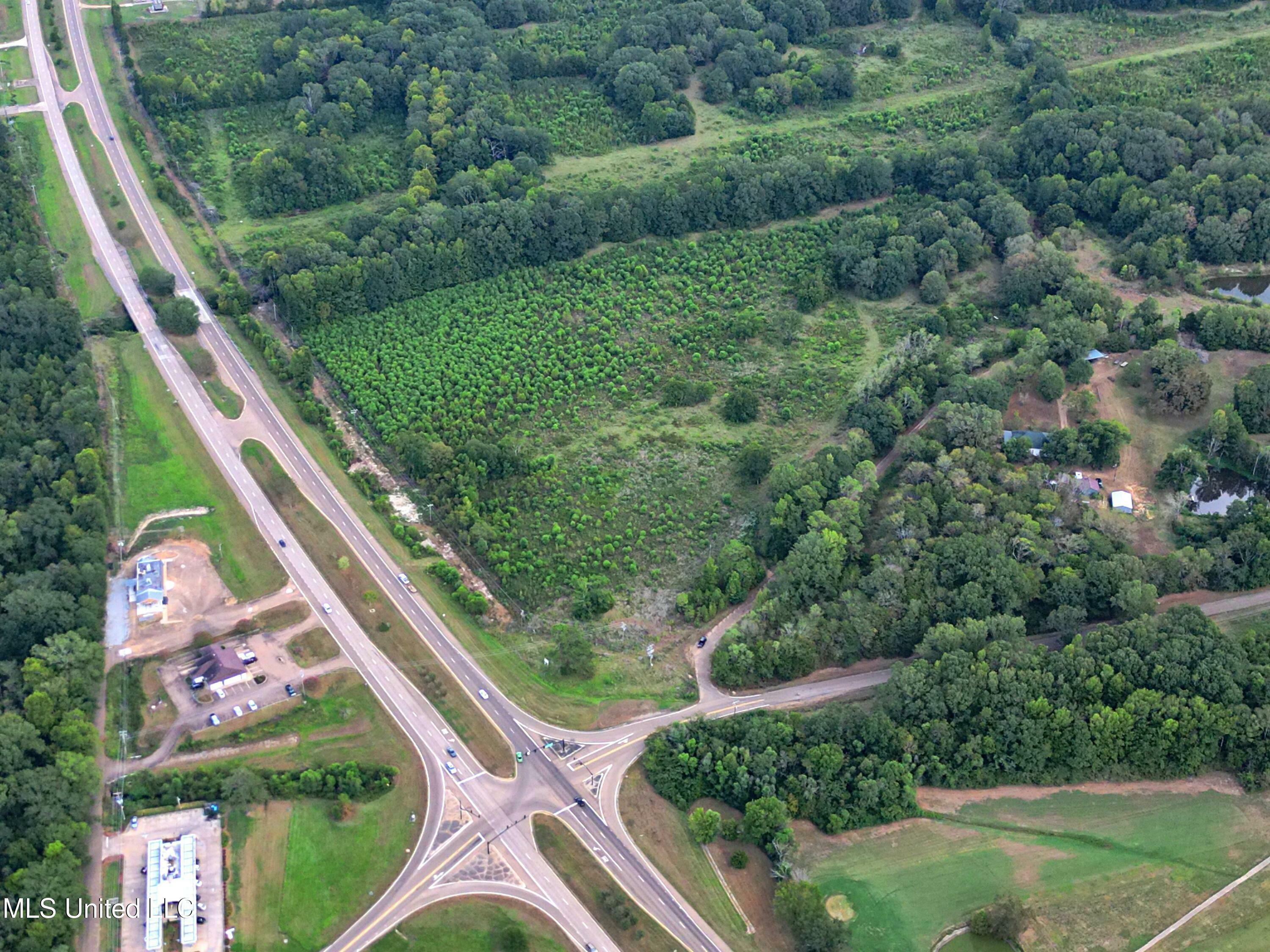 Property Photo:  Olde Oak Tree Lane  MS 39154 