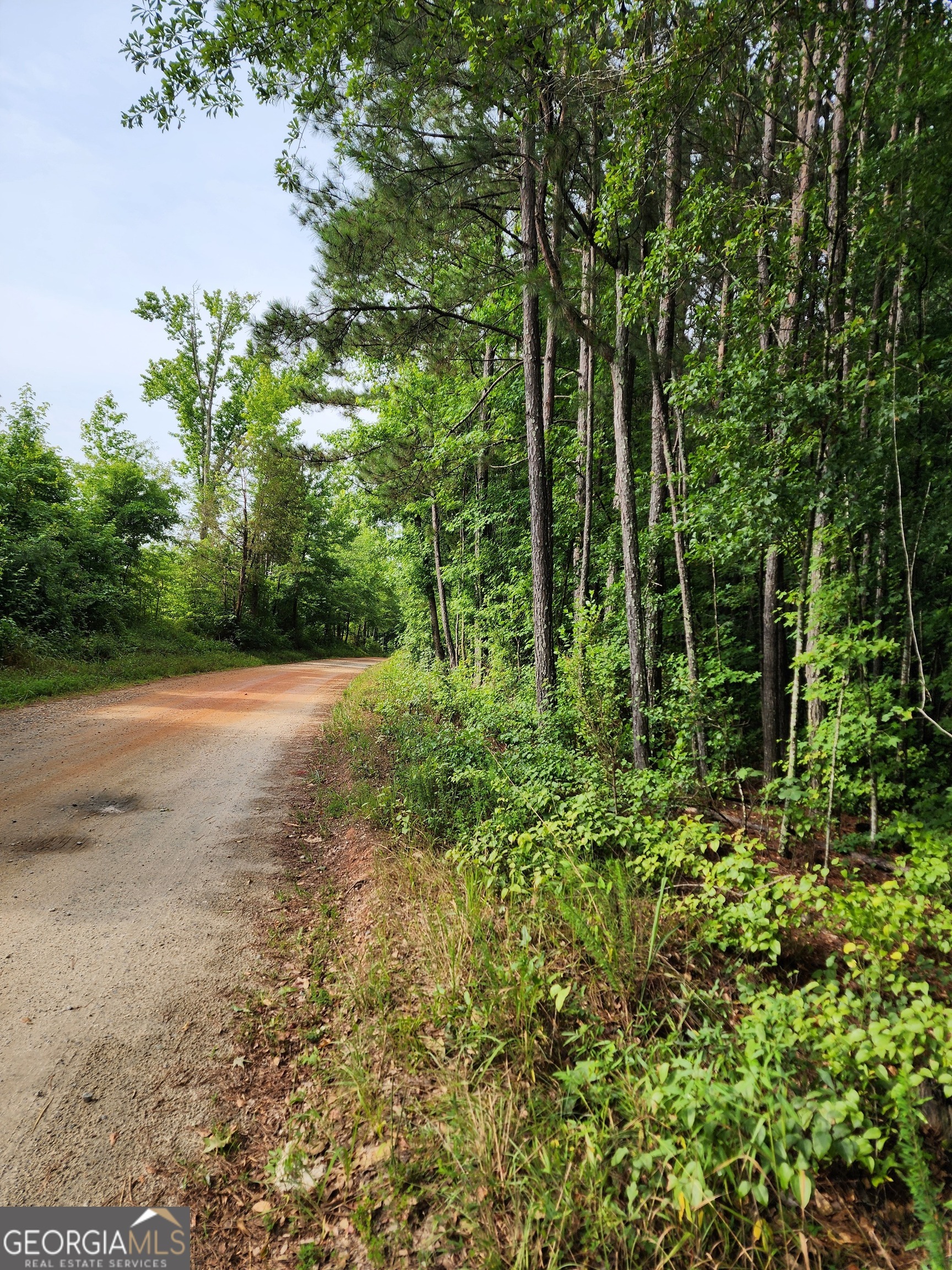 Property Photo:  0 Bunch Road  GA 30233 