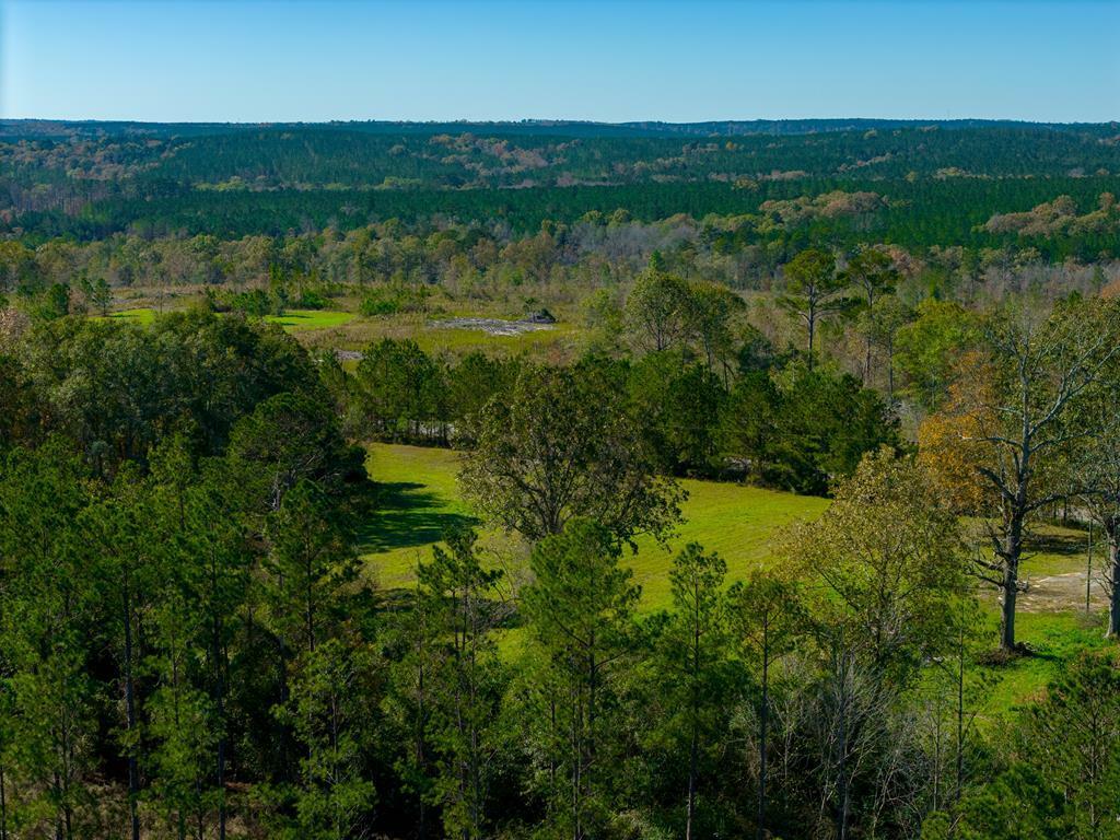 Property Photo:  650 Eddie Martin Road  GA 31803 