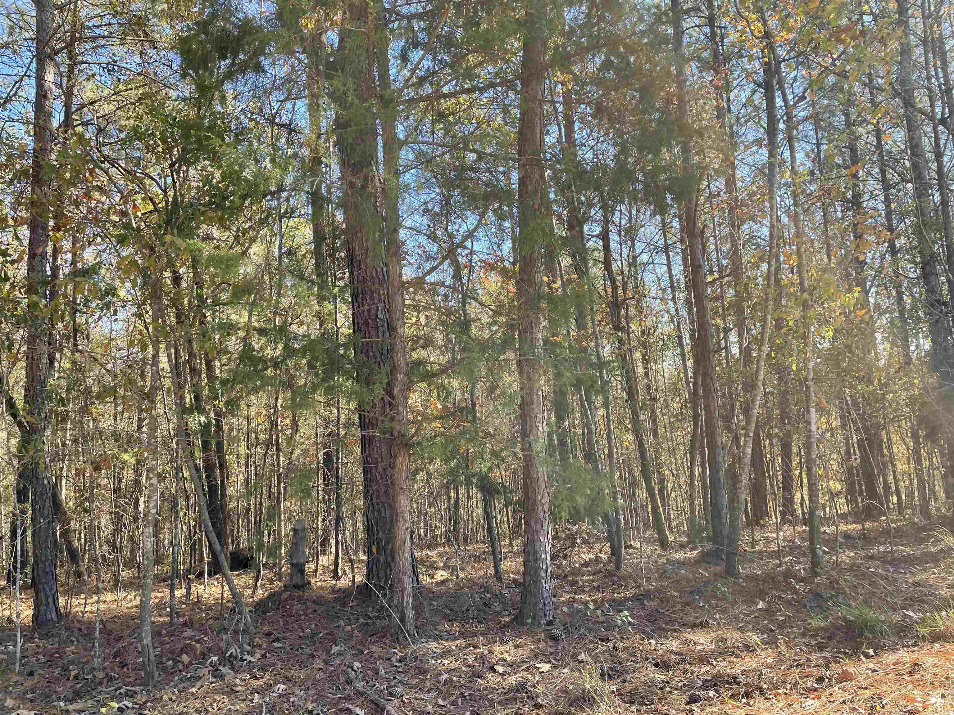 Property Photo:  1380 Perryman Road  GA 30625 