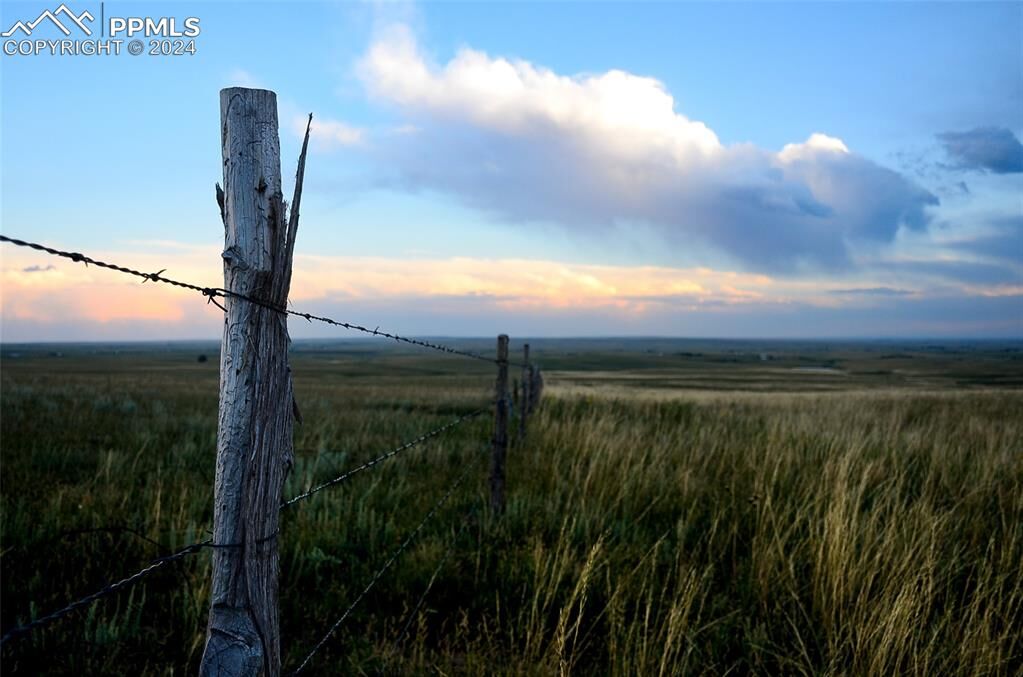 Property Photo:  29815 Tallgrass View  CO 80808 