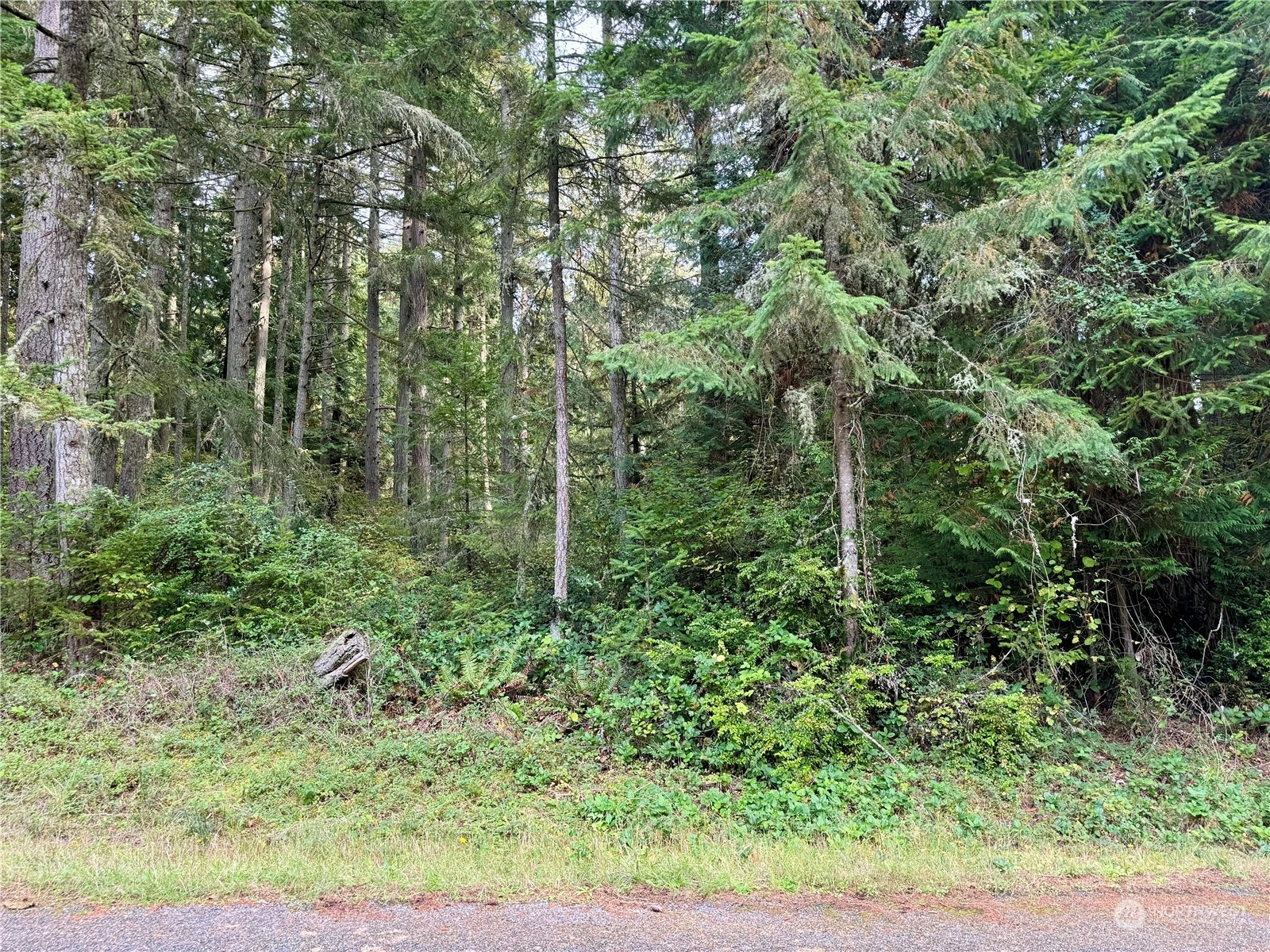 Property Photo:  11411 Tillicum Drive  WA 98303 