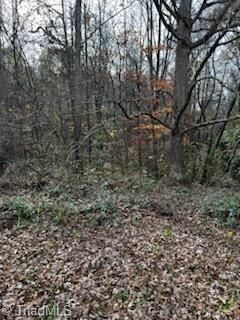 Property Photo:  4430 Ben Lane  NC 27051 