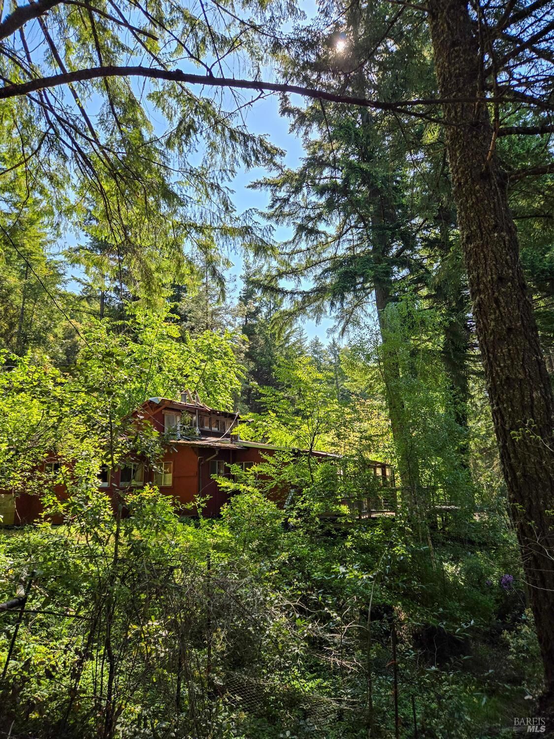 Property Photo: 29500 Timberline Road CA 95490