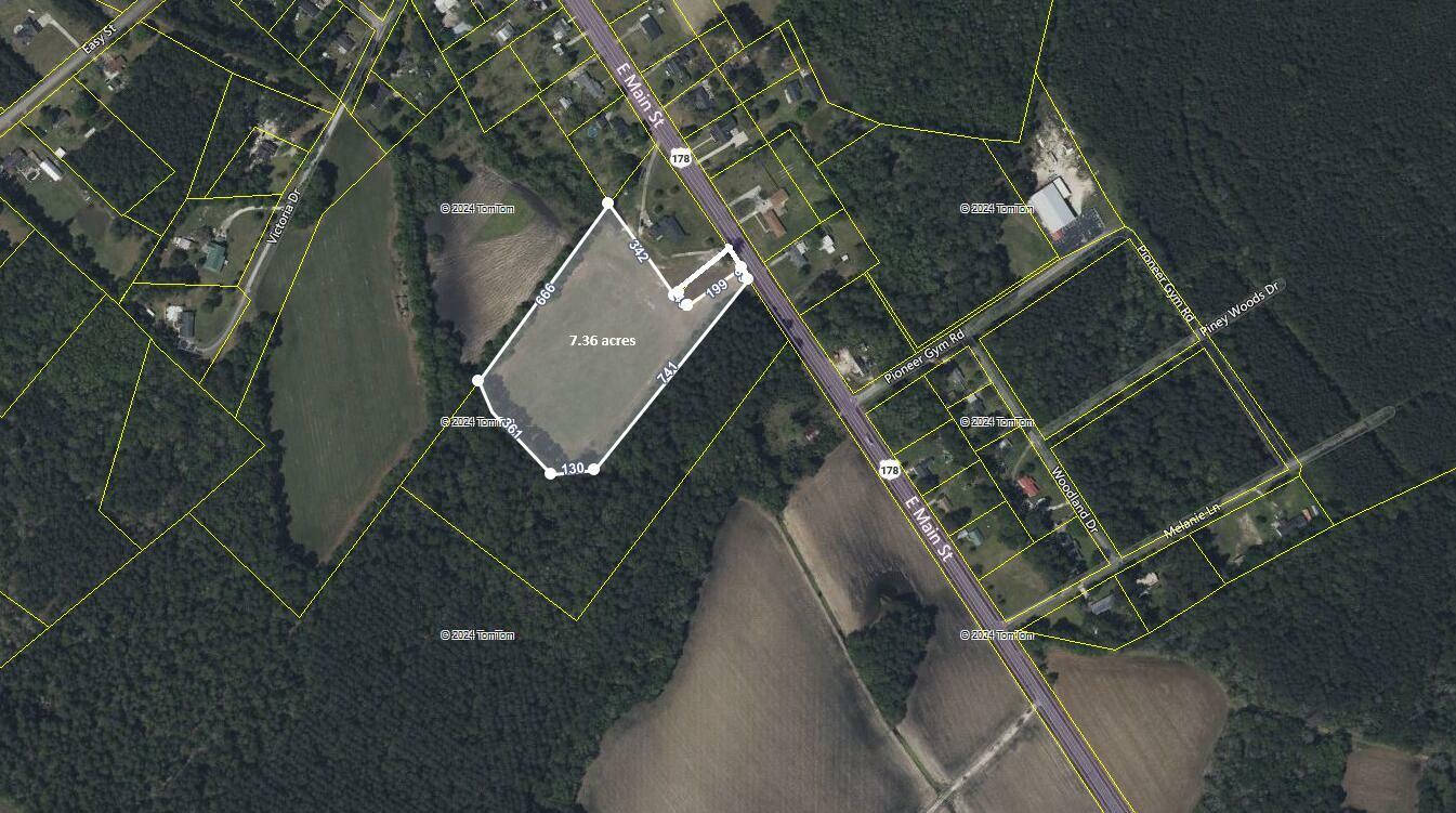 3-A E Main Street  Harleyville SC 29448 photo