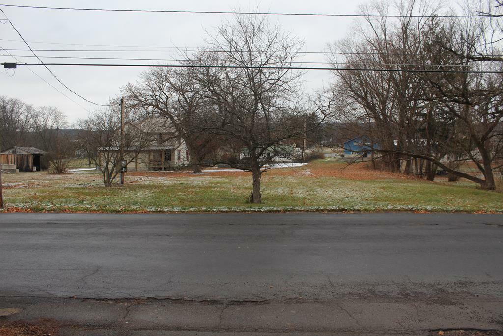 Property Photo:  0 Owego St. Lot 1  NY 14865 