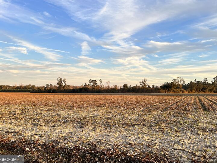 0 W P Clifton Road  Brooklet GA 30415 photo