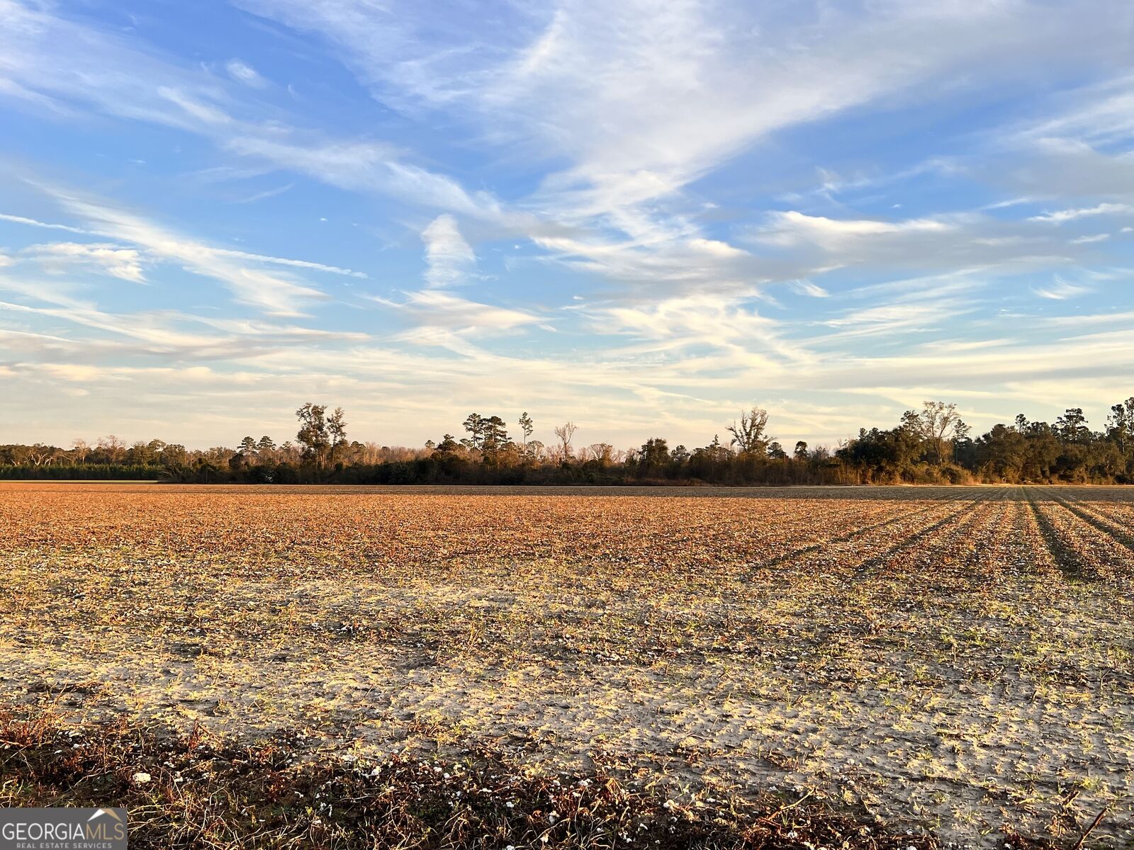 Property Photo: 0 W P Clifton Road GA 30415