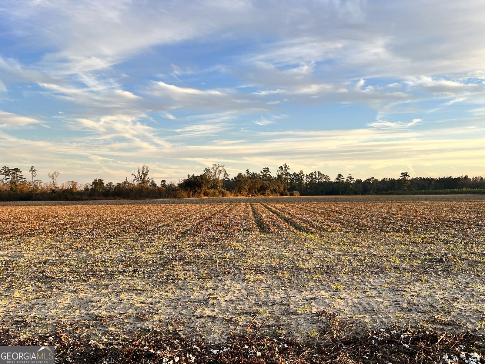 Property Photo:  0 W P Clifton Road  GA 30415