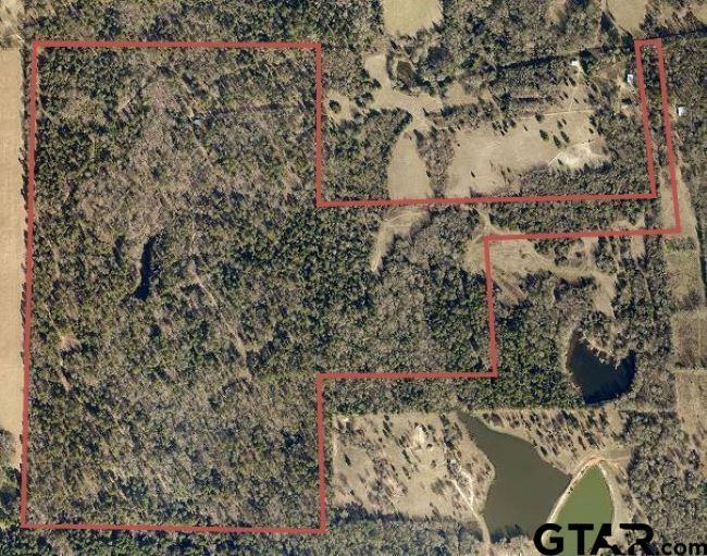 Property Photo:  Tbd Stag Td Tract 1  TX 75494 