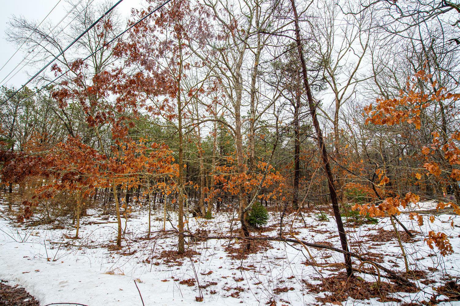 Property Photo: Elizabeth Way NY 11961