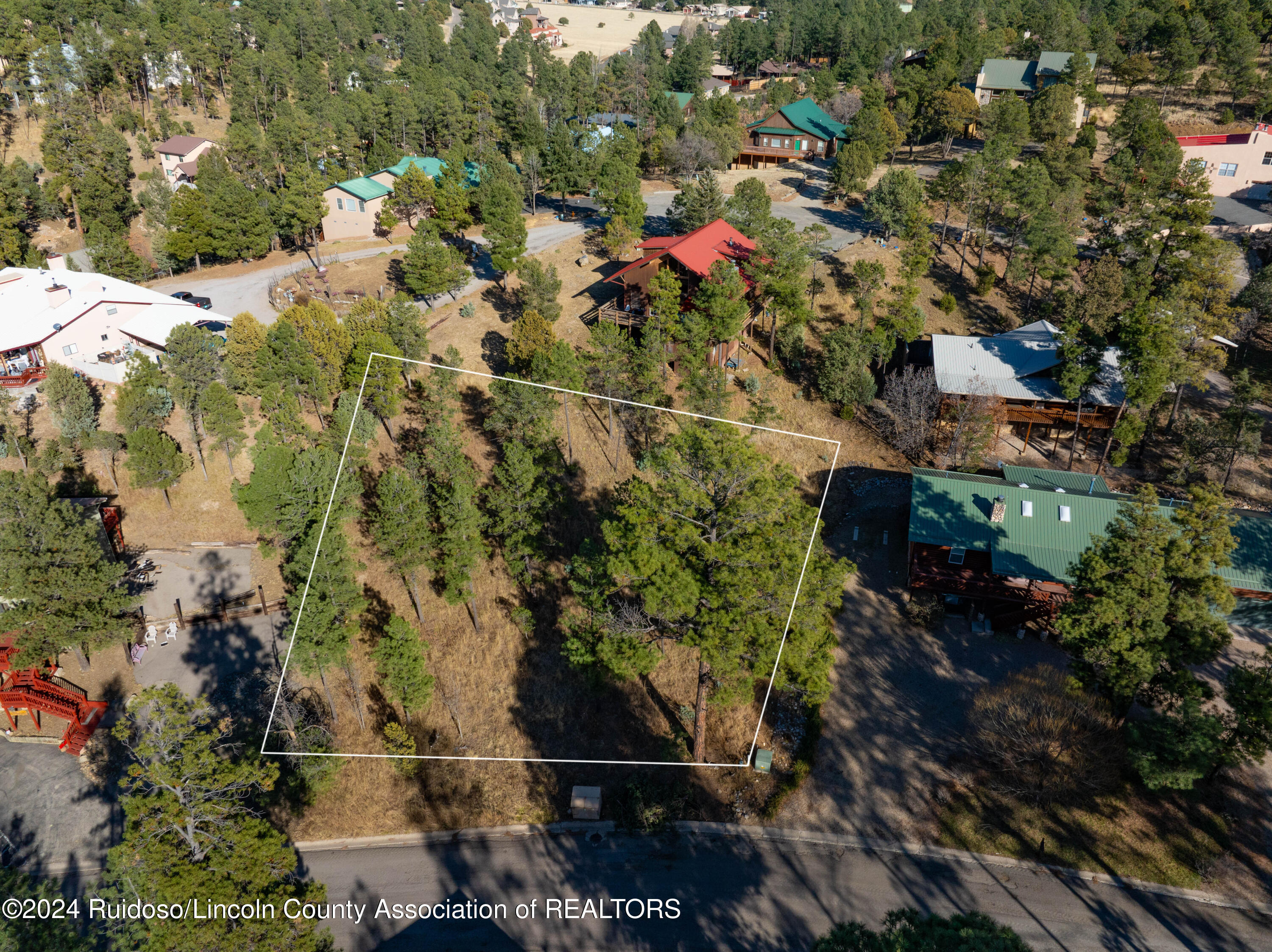 Property Photo:  303 Marble Drive  NM 88345 