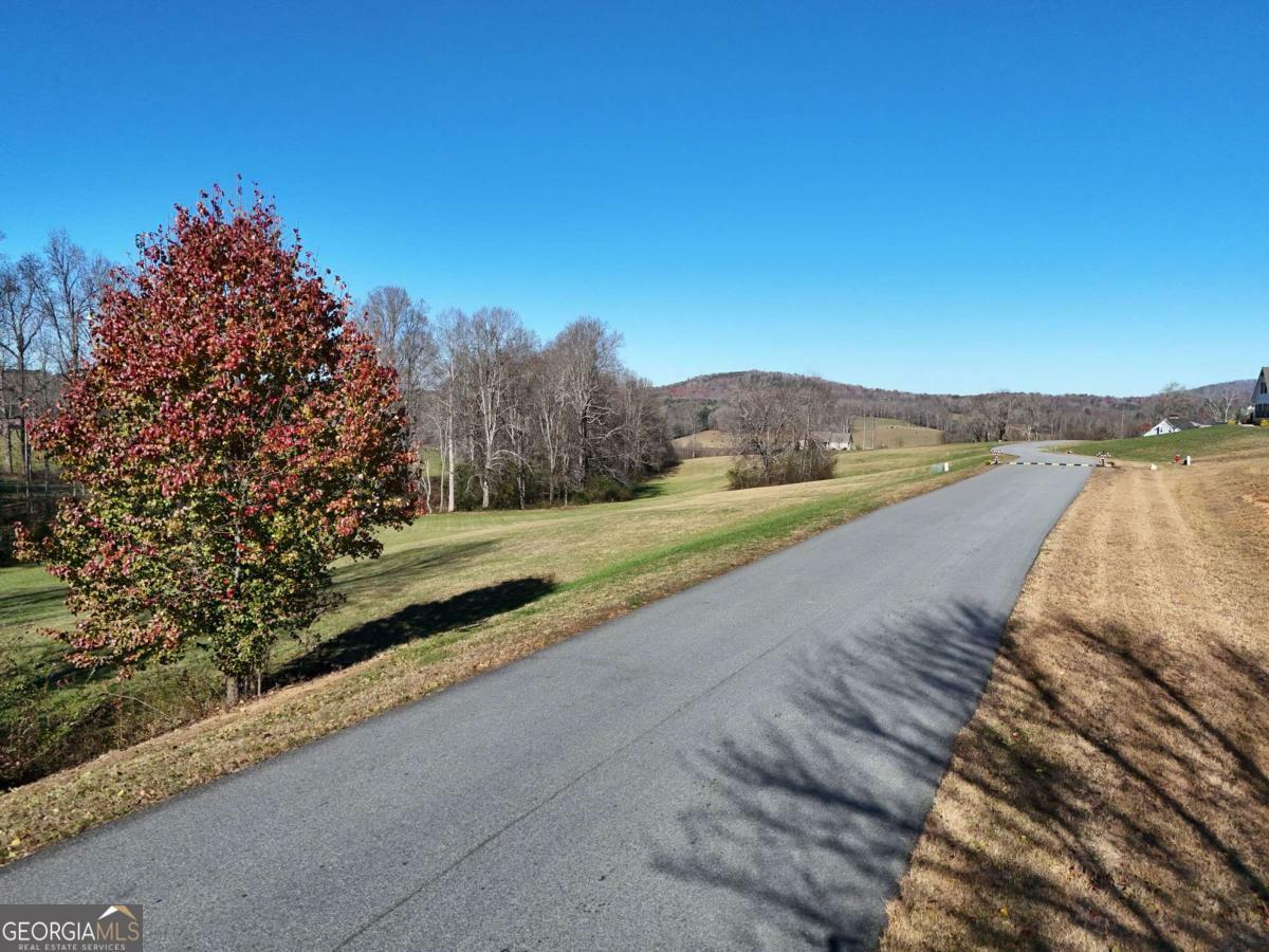 Property Photo:  Lot 115 Owen Glen  GA 30512 