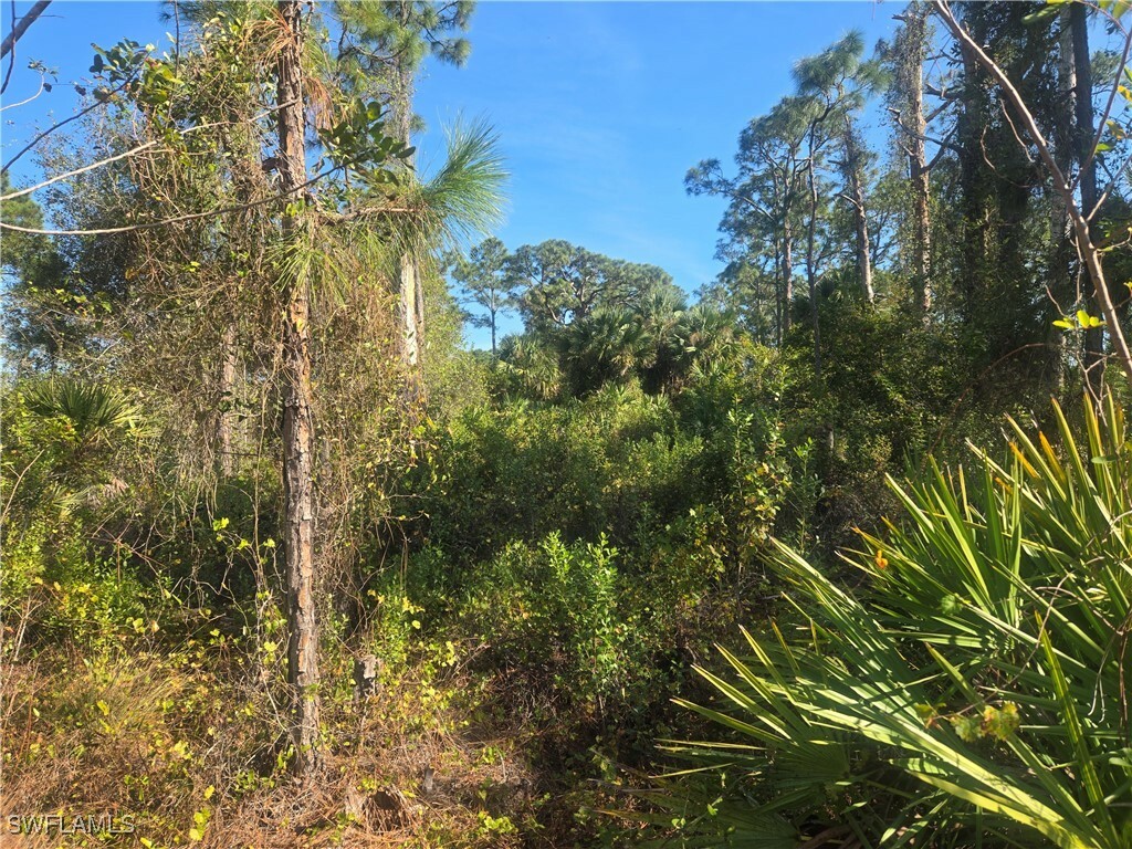 Property Photo: 711 Giorgio Avenue S FL 33974