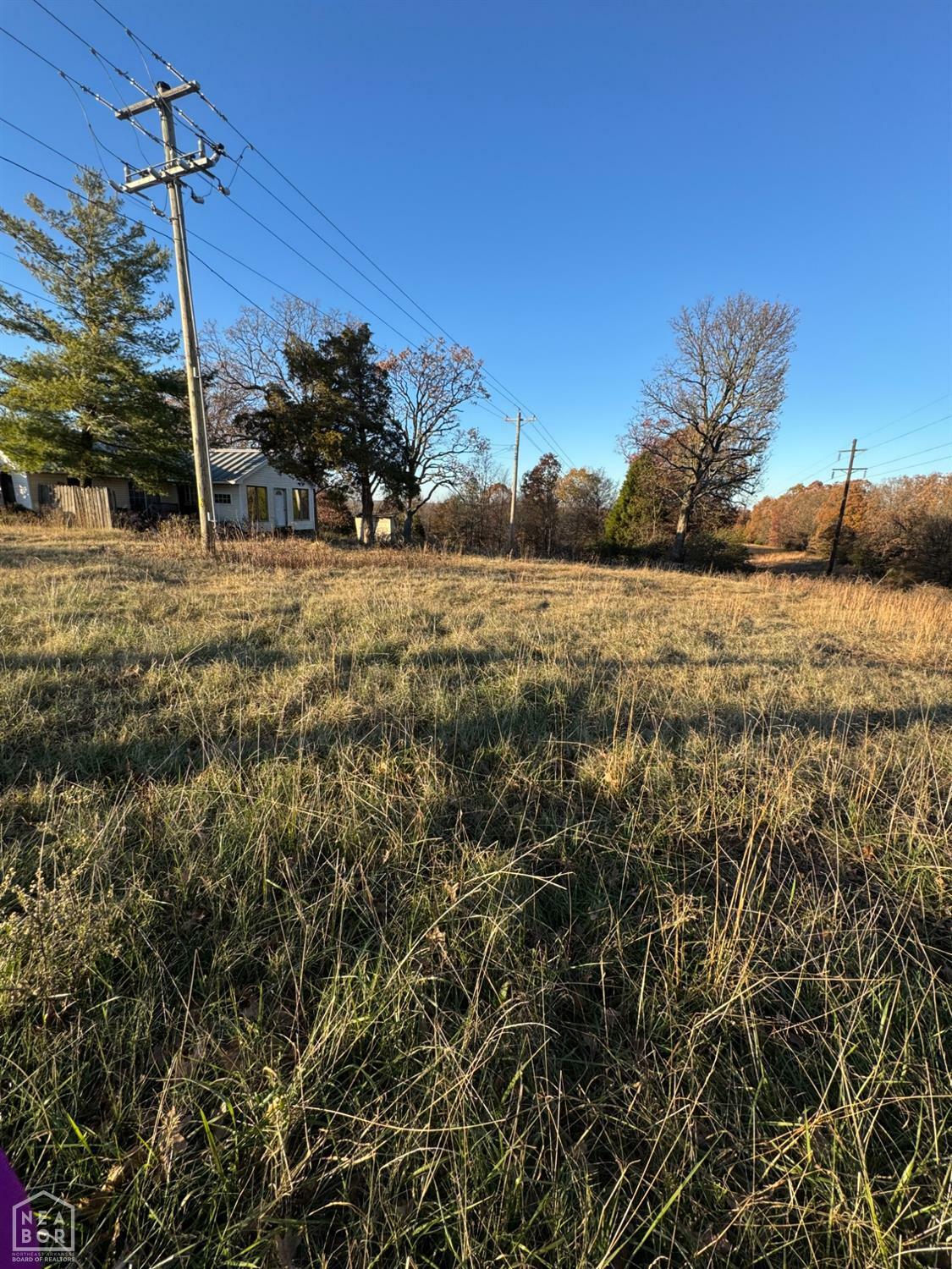 1705 Strawfloor Drive  Jonesboro AR 72404 photo