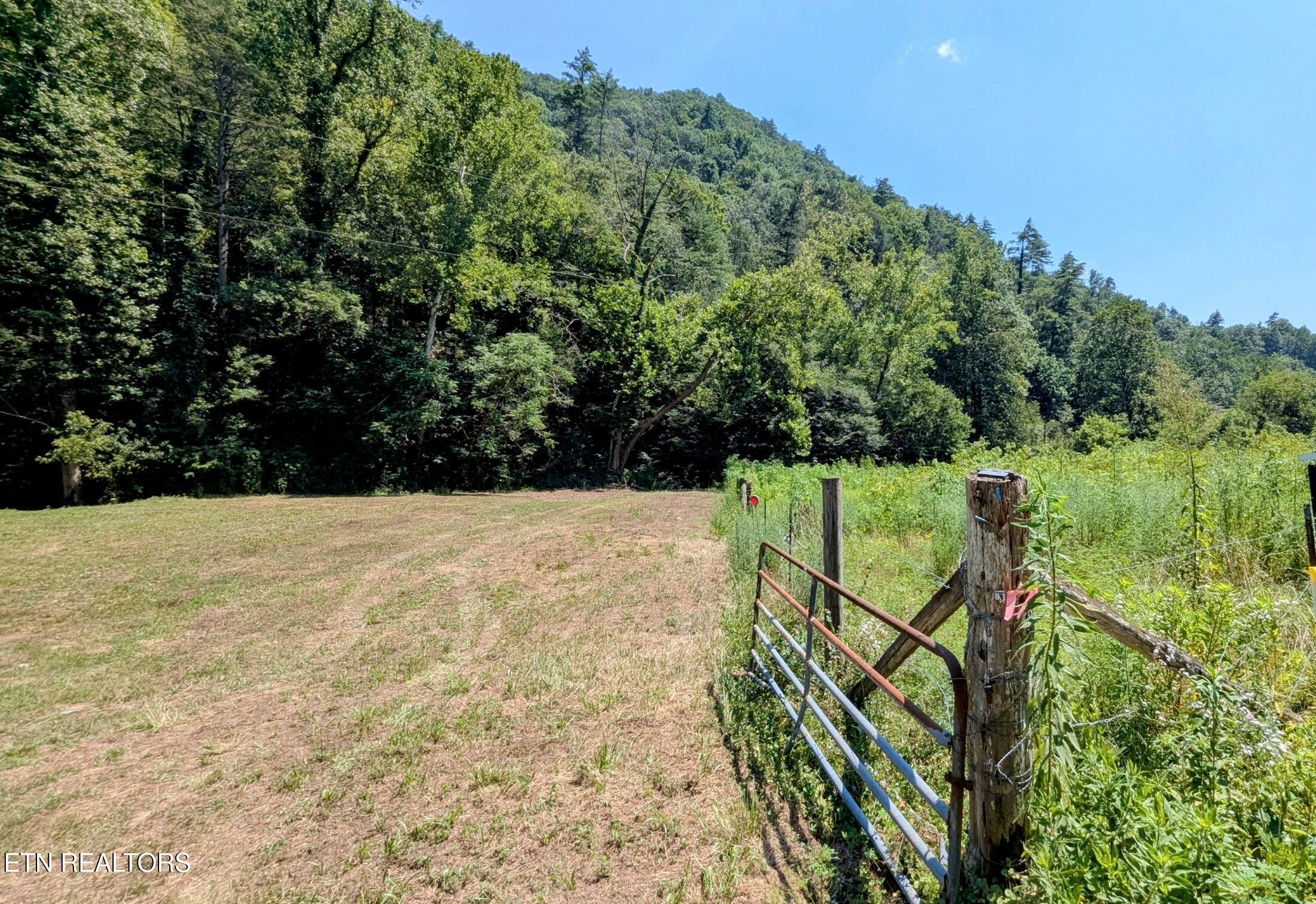 Property Photo: Carrs Creek 14 Acres Rd TN 37882