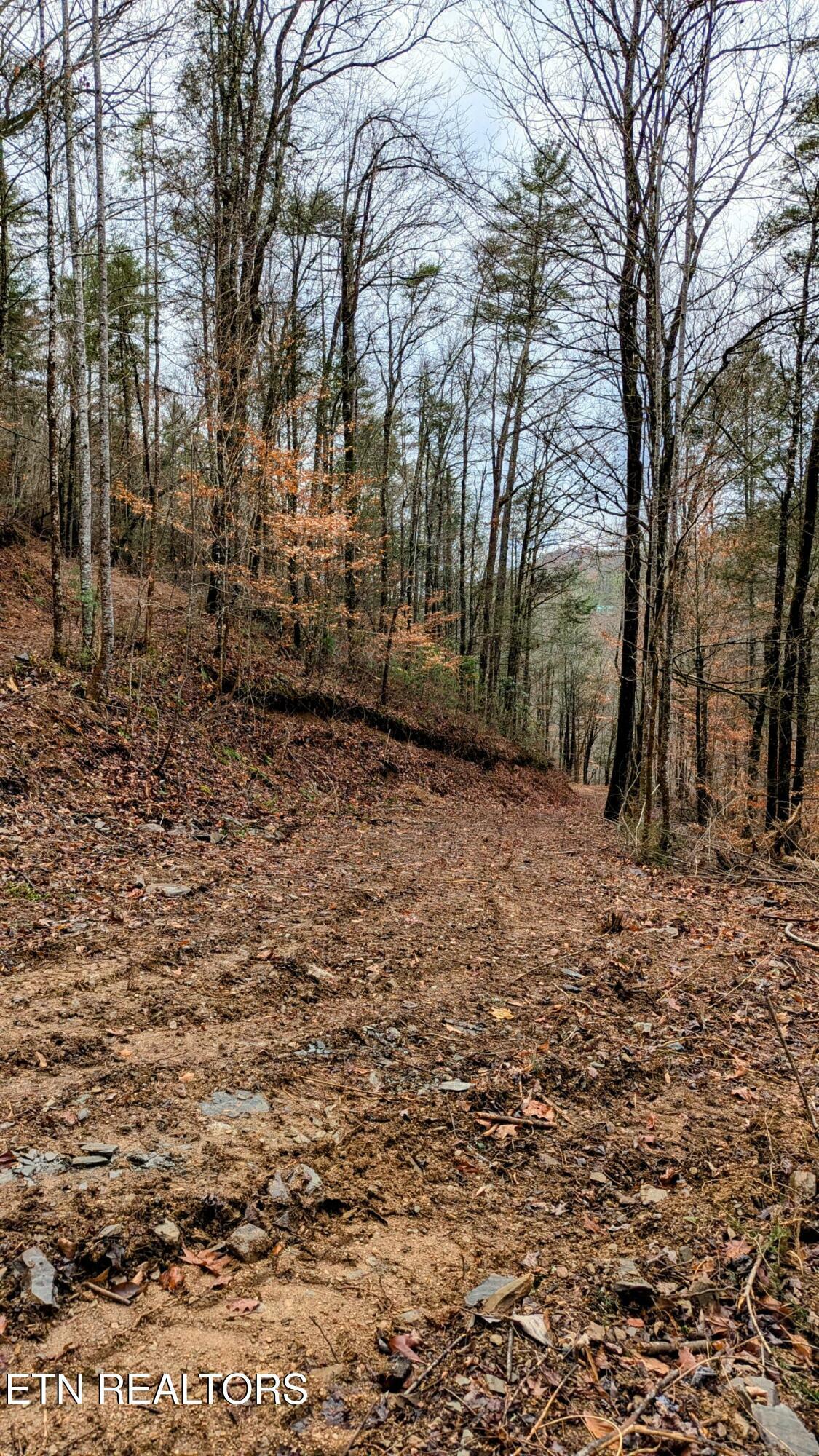 Property Photo:  Carrs Creek Rd  TN 37882 