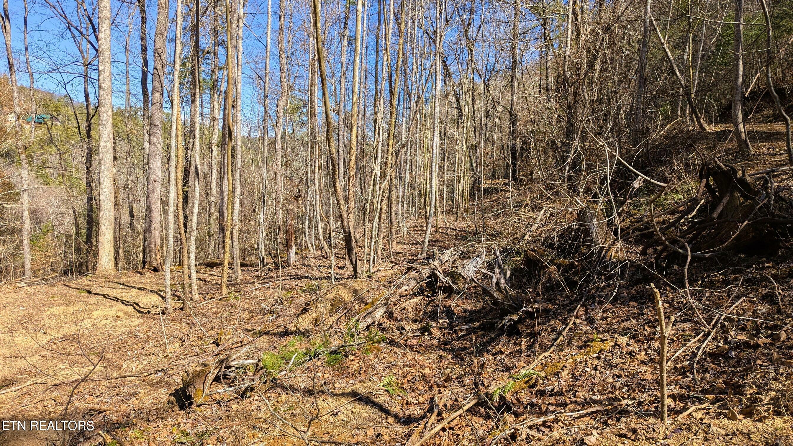 Property Photo:  Carrs Creek Rd  TN 37882 