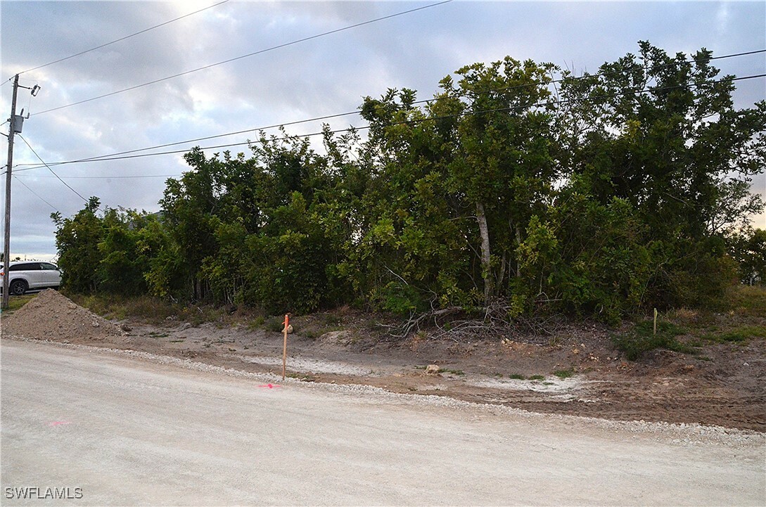 Property Photo: 1217 NE 13th Place FL 33909