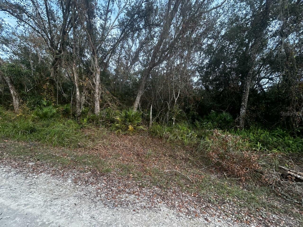 Property Photo:  6330 Mike Lane  FL 33597 