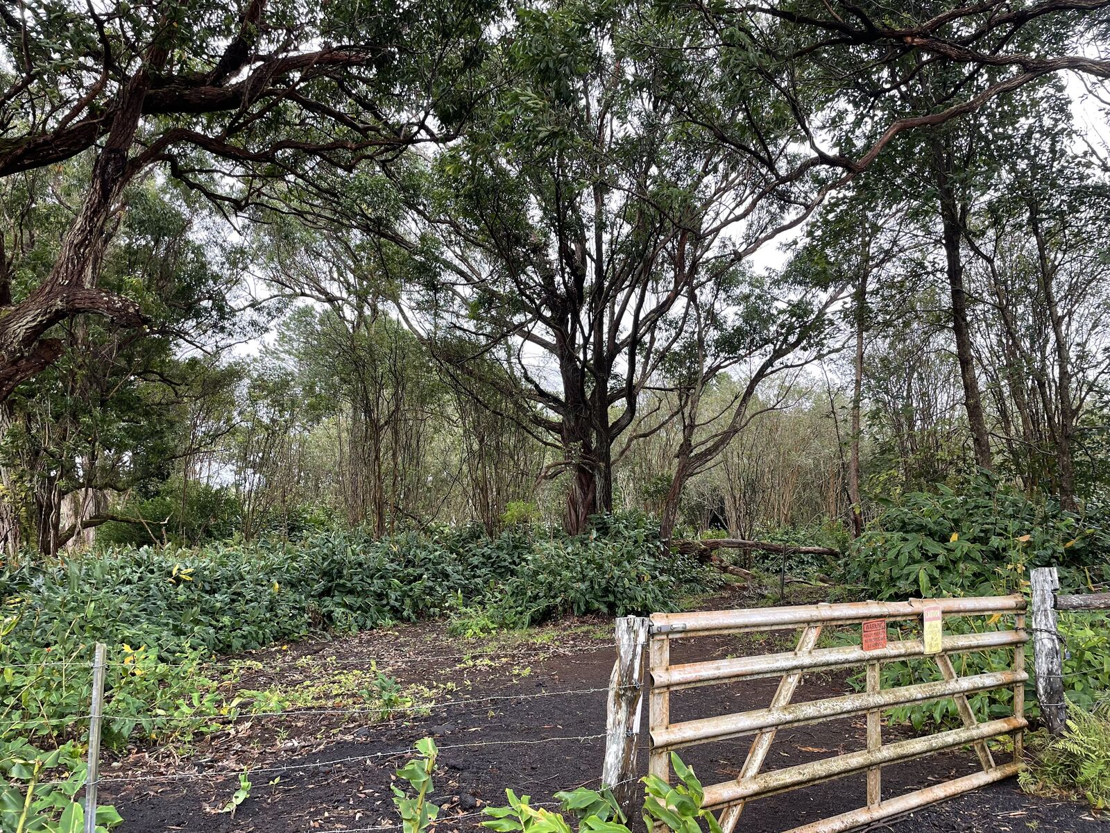 Property Photo:  64-5275 Alanui Ohana Pl  HI 96743 