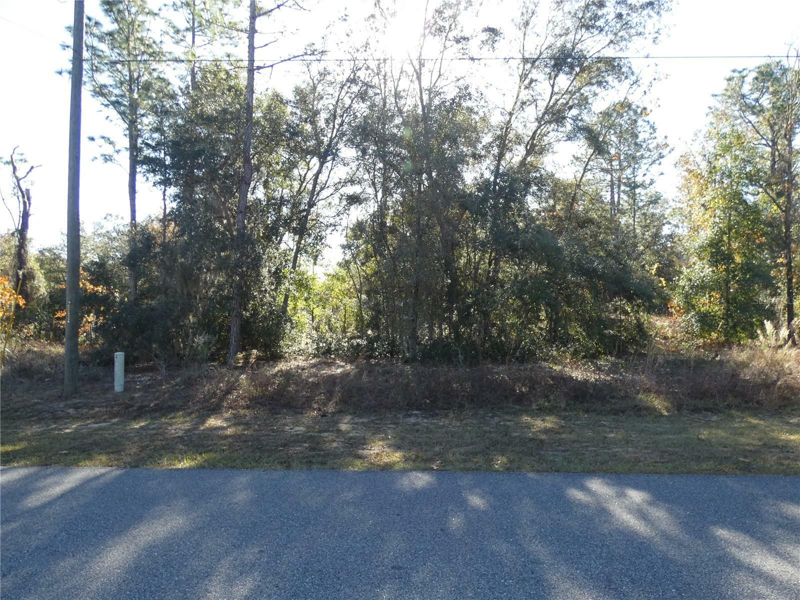 Property Photo:  76 W Navarro Place  FL 34434 